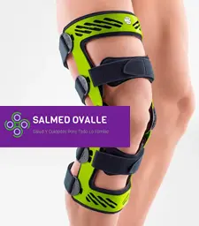 Caja 18 | Salmed Ovalle