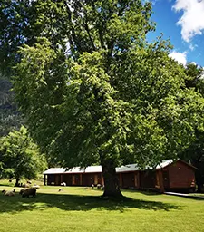 Aldea Nativa Lodge