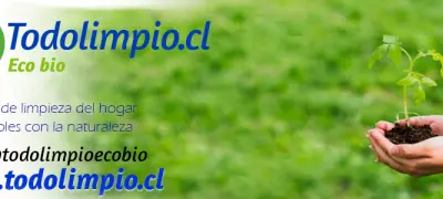 Todo Limpio - 10%